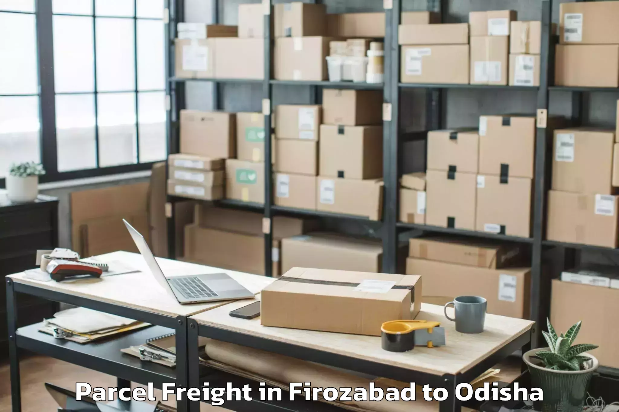 Top Firozabad to Banposh Parcel Freight Available